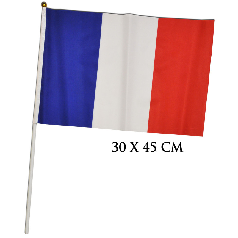 Fahne Flagge Frankreich 30 x 45 cm mit Stab : : Garten