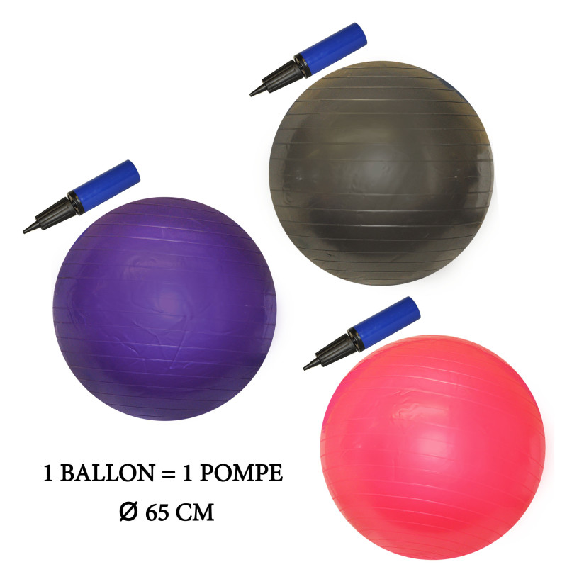 Ballon de Yoga de 65cm Avec Pompe